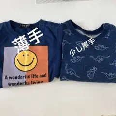 Item thumbnail for item 2b645b02-c8c2-47e8-a830-c15d84c59454