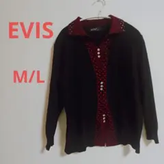 【1点限定♥️】EVIS 黒赤ストライプ長袖ニット M/L