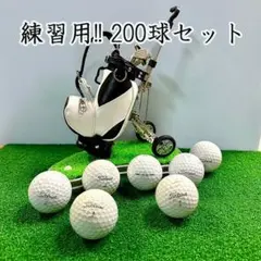 221・ロストボール タイトリスト V1系 練習用ボール 200球