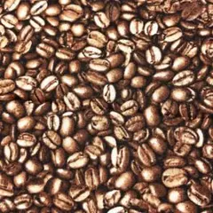 輸入生地 コーヒー豆②