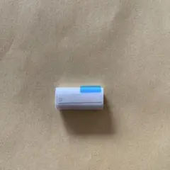 Apple Pencil充電コネクタ