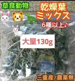 Item thumbnail for item 98235794-477b-4c8a-a6d4-42182e5f5fb7