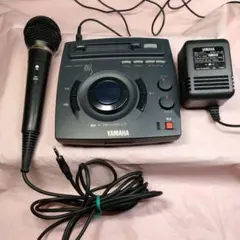 Item thumbnail for item 313a57c7-f1e4-4b52-922b-4106046562c6