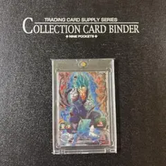 Item thumbnail for item 136ce16d-b81f-4818-b54c-a5969cc5ebb8