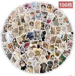 Item thumbnail for item 9e1c8f46-658b-40df-a792-76b31efce9fe