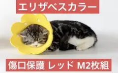 エリザベスカラー 軽量フェルト 傷口保護 かわいい 犬 猫【レッドM 2枚組】