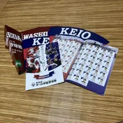 オール早慶戦パンフレットメガホンセット