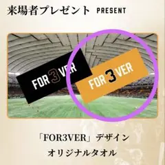 長嶋茂雄　追悼試合記念配布　タオル・ステッカー