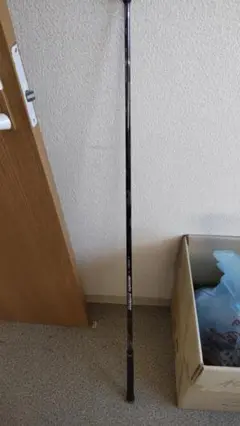 希少品・RODDIOスリーブ付き