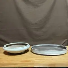 盆栽鉢 植木鉢 観葉植物 山野草 常滑焼 白交趾 袋式 楕円形 光泉 2セット