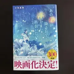 あの星が降る丘で、君とまた出会いたい。