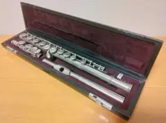 Item thumbnail for item 2e117d9f-7503-402f-be7e-84ddca846c3e
