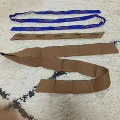 Item thumbnail for item 35ed438f-c8b2-42b9-87e1-a8fb503248c8