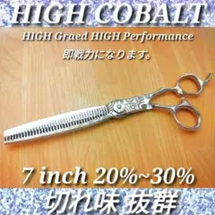 Item thumbnail for item 3a4bca3e-0648-4d6c-a572-5530f008f407