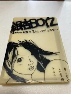 銀杏BOYZ 僕たちは世界を変えることができない初回盤DVD（棚３１）