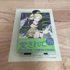 シュガードラッグ 3巻 ホーリンラブブックス限定特典