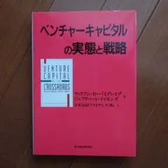 ベンチャーキャピタルの実態と戦略