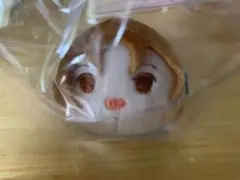 KING OF PRISM もちマス　速水ヒロ　未使用