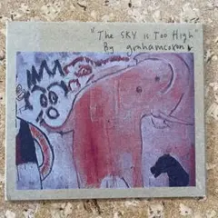 graham coxon / The Sky Is Too High