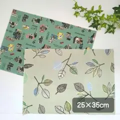Item thumbnail for item 113f5a32-f5fa-4517-aecb-2dba4dca3271
