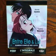 フランス版DVD彼氏彼女の事情全巻セット