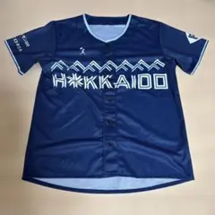 2025年We Love Hokkaidoシリーズユニホーム