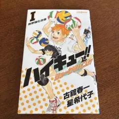 人気海外ブランドアイテム｜ファッション通販 30日まで限定値下げ！ハイキュー!! ショーセツバン!全巻セット＋ 文学・小説