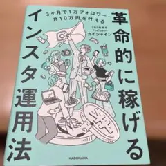 革命的に稼げるインスタ運用法