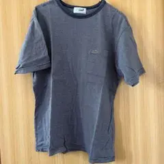 Crocodile ストライプ Tシャツ Mサイズ