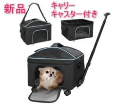 Item thumbnail for item fca1a9b5-26f5-4218-b0b1-fc96e0a6343b