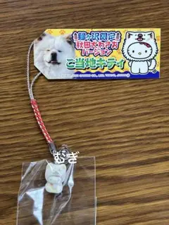 2025年最新】ご当地キティわさおバージョンの人気アイテム