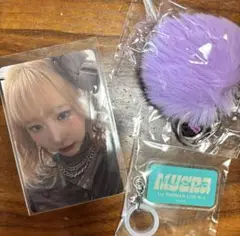 MYERA トレカ　ガチャ　yui サマフェス会場限定