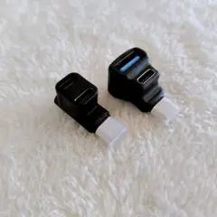 Leehitech USB C 分岐アダプター 20Gbpsデータ転送 90度