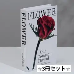 【3冊セット】フェイクブック 洋書風インテリア／韓国風・飾り本・撮影小物