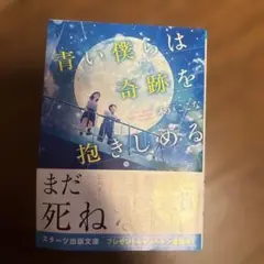青い僕らは奇跡を抱きしめる
