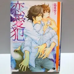 BL小説 凪良ゆう 恋愛犯 Love holic