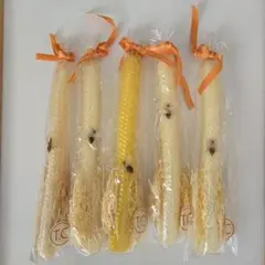 Timeless Comfort ミツロウキャンドル 5本セット