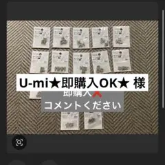 U-mi★即購入OK★ 様　A×4.H×2.♡×1.☆×1