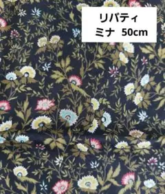 Item thumbnail for item b50e8b42-13ab-4525-9fc4-6dc24afbce73