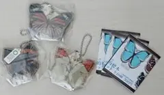 【珍品 現品限り】パラタイプ・コノハチョウ（1オス・タイ産） 珍品 現品限り】パラタイプ・コノハチョウ（1オス・タイ産） 標本