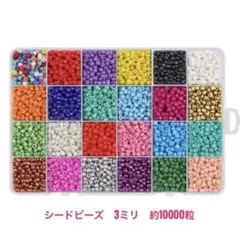 迅速発送！　新品　約３ミリ24色シードビーズ　約10000粒　カラーシードビーズ