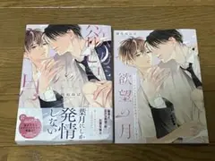 欲望の月　藤咲ねねば　コミコミ　小冊子付