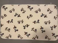 UNIQLO ディズニー フリース　ブランケット ポンチョ廃盤　ミッキー