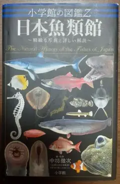 日本魚類館 精緻な写真と詳しい解説 Amazon.com: 小学館の図鑑Z 日本魚類館: ~精緻な写真と詳しい