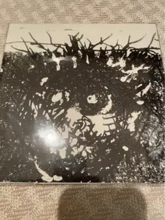 SLUG AFTER MAY 7'レコード split single 新譜 lp