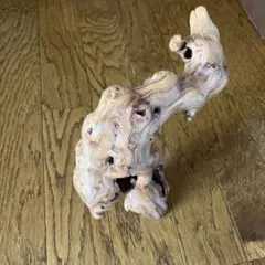木の根　置物