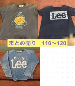 Item thumbnail for item 769d9390-8ad5-46c7-aa0a-15e501bfacf0