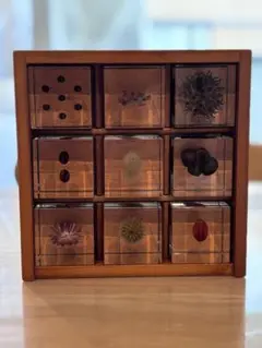 宙ソラsola cube 標本箱木箱セット ウサギノネドコセレクション9個