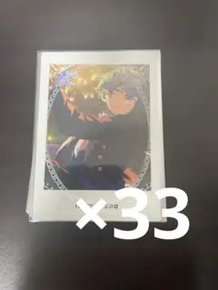 あんさんぶるスターズ！！ 瀬名泉 ぱしゃっつ ぱしゃこれ 33枚セット