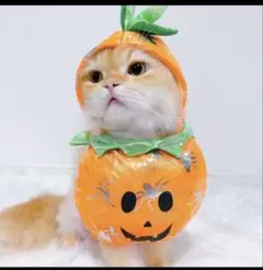 Item thumbnail for item 52b62f8e-869d-42e6-971f-03d15c32a3fb